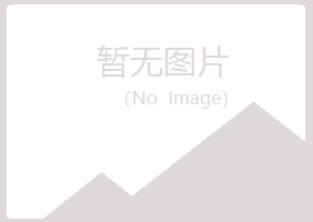 拜泉县夜山会计有限公司